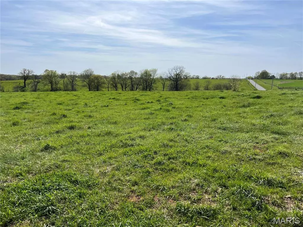 Bowling Green, MO 63334,0 Lot 1 Spring Valley DR