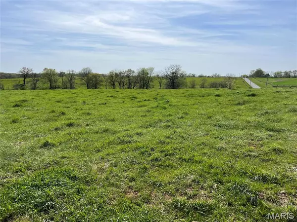 0 Lot 1 Spring Valley DR, Bowling Green, MO 63334