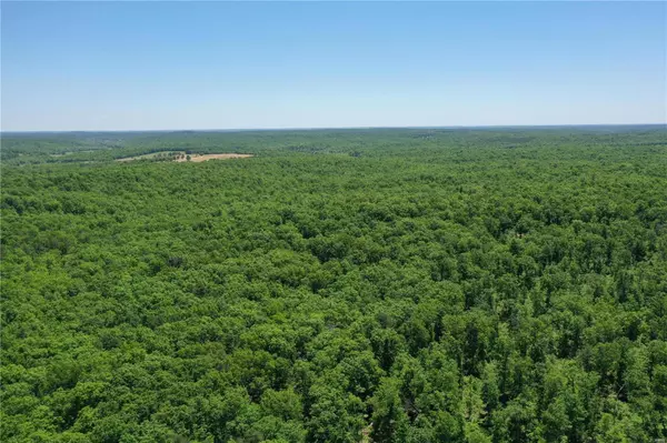 0 County Road 754, Centerville, MO 63633