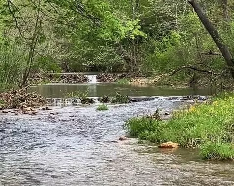 1 N Hwy,  Middlebrook,  MO 63656