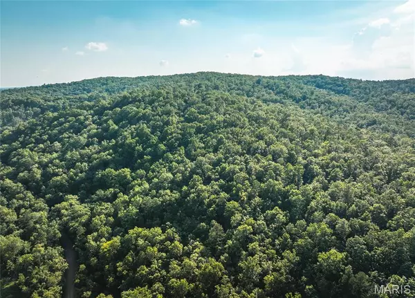 Van Buren, MO 63965,0 Aldrich Valley Road