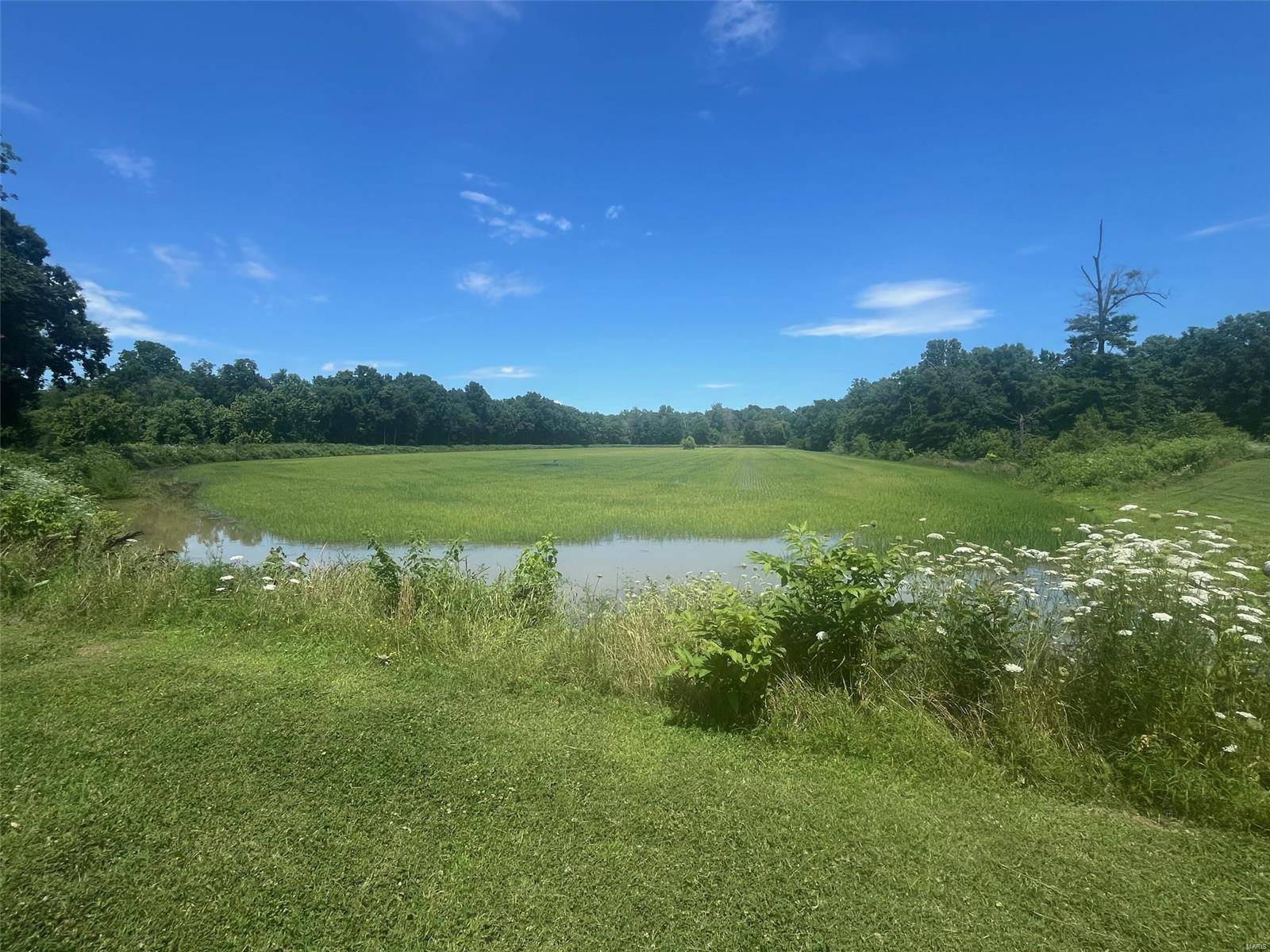 Qulin, MO 63961,947 County Road 249