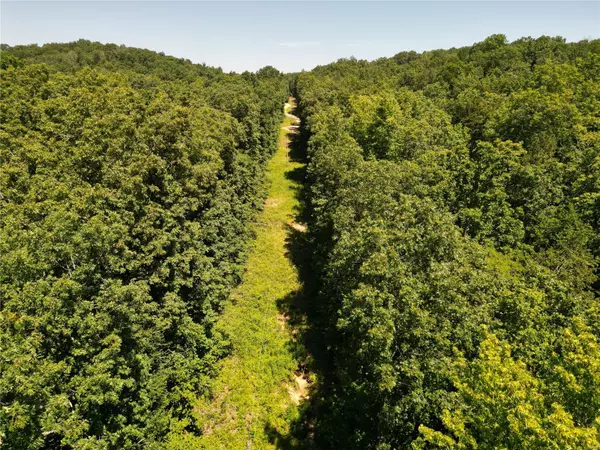 Marquand, MO 63655,0 Off CR 203