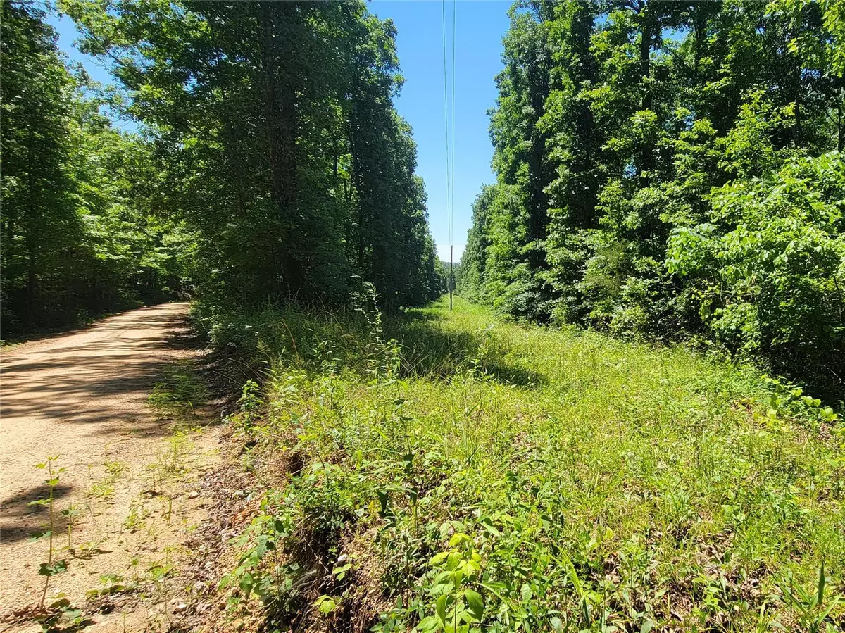 Marquand, MO 63655,0 Off CR 203