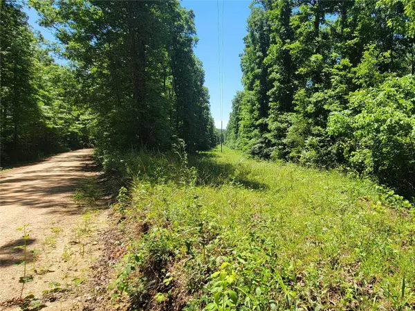 0 Off CR 203, Marquand, MO 63655