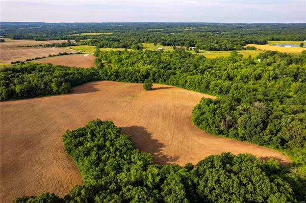 Elsberry, MO 63344,0 Hwy F (Tract #4) #F