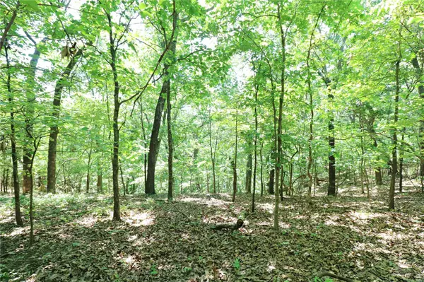 Barnhart, MO 63012,0 (3.85 acres) Hi View DR