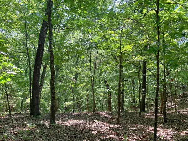 Barnhart, MO 63012,0 (3.85 acres) Hi View DR