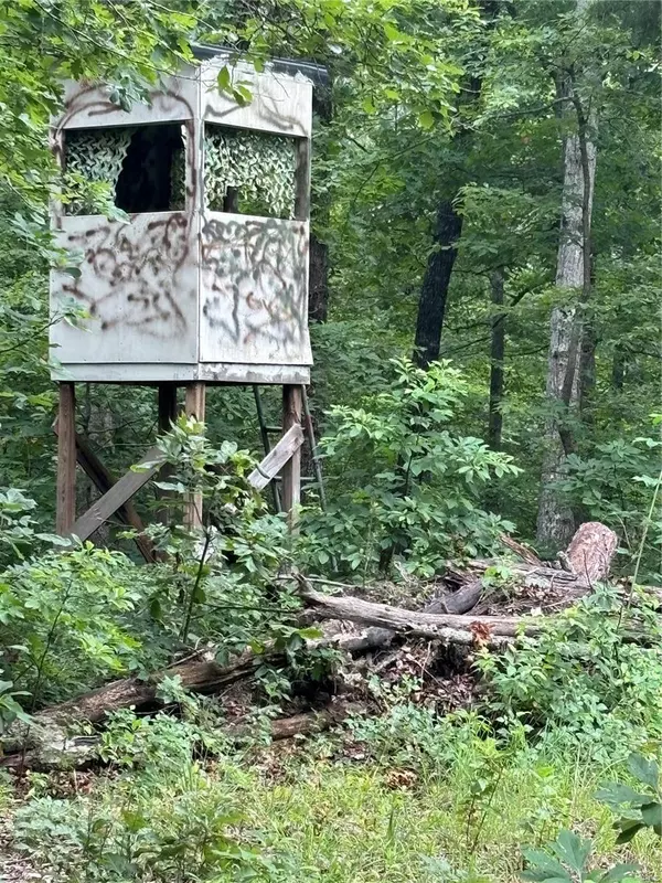 Marquand, MO 63655,1751 Hwy JJ