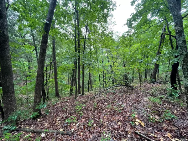 Warrenton, MO 63383,0 State Hwy 47