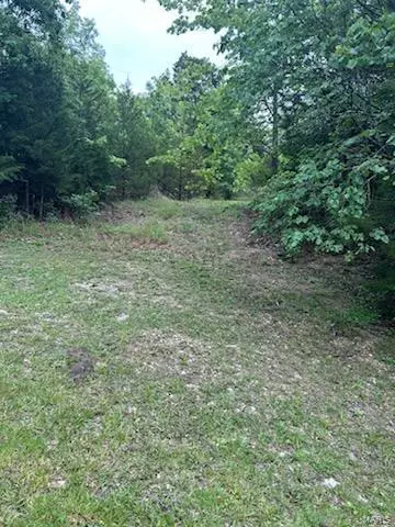 Hillsboro, MO 63050,10168 Lake Ridge DR