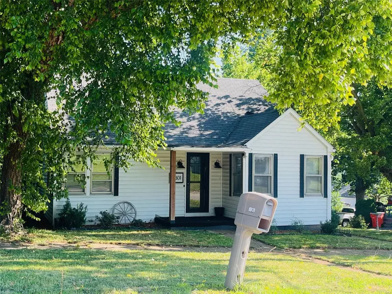 1301 W Randolph St, Vandalia, IL 62471