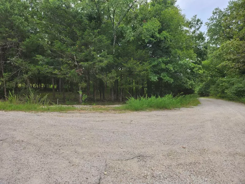 661 Wallace DR, Branson, MO 65740