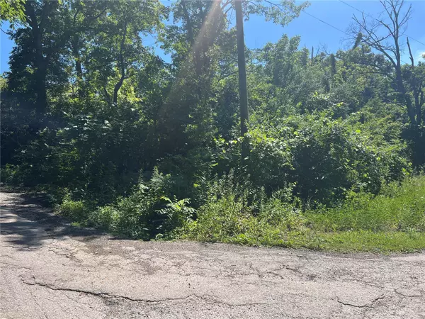 Hillsboro, MO 63050,8847 Central Point RD