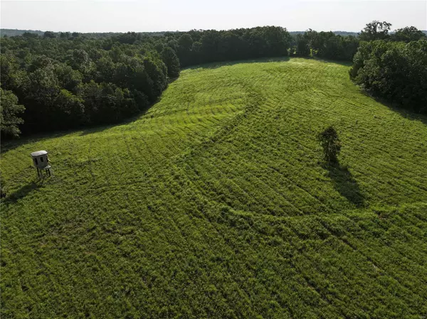 Marble Hill, MO 63764,0 Tract 4 BCR 306