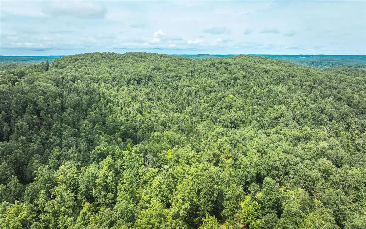 Van Buren, MO 63965,0 Carter Route M