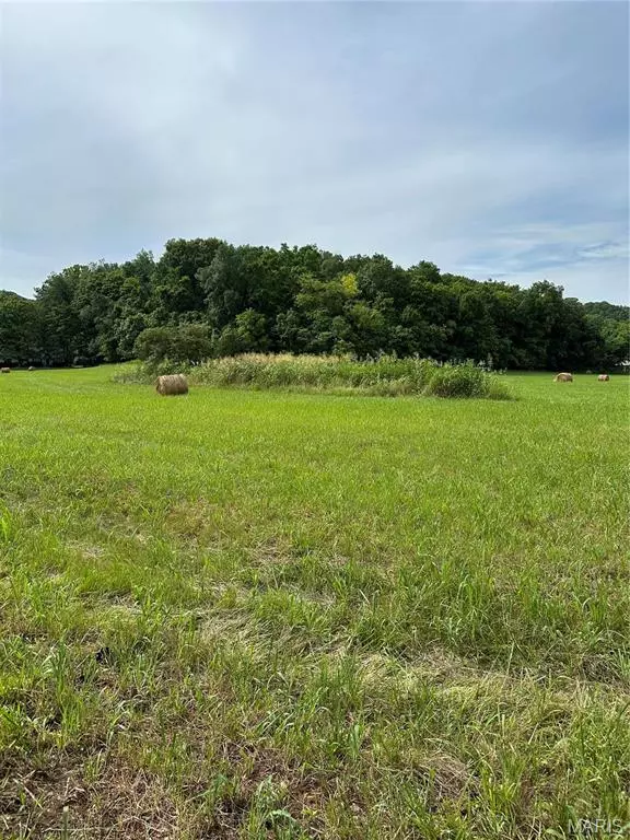 Barnhart, MO 63012,7382 Old Lemay Ferry RD