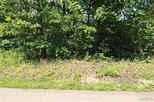 De Soto, MO 63020,13480 Saddle Creek RD