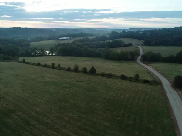 Licking, MO 65542,0 TBD Steam Hollow Dr. Lot 32c