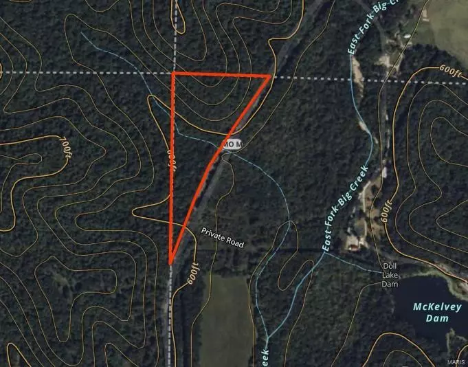 Marquand, MO 63655,Address not disclosed