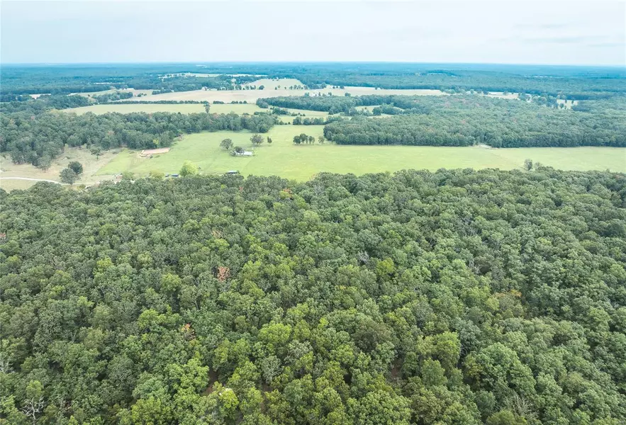 0 Moloney DR, Licking, MO 65542