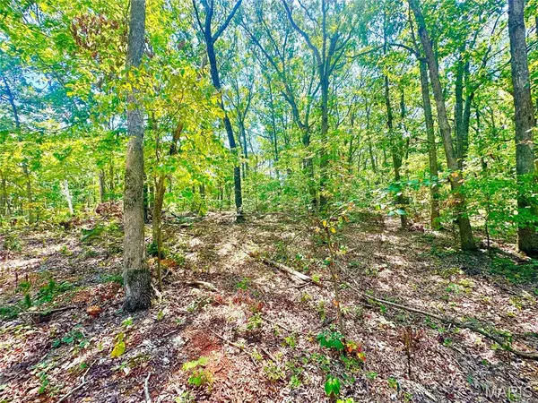 Potosi, MO 63664,15 Aspen trail dr