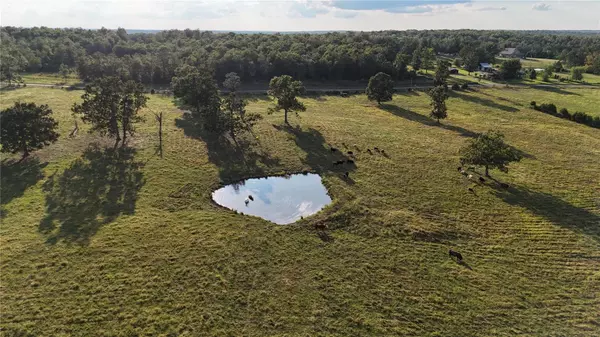 Summersville, MO 65571,0 Highway W