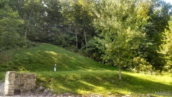 329 Berg Crossing DR, Augusta, MO 63332