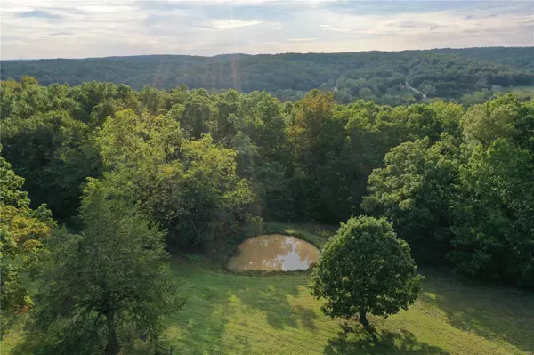 Piedmont, MO 63957,625 W Green Hill St