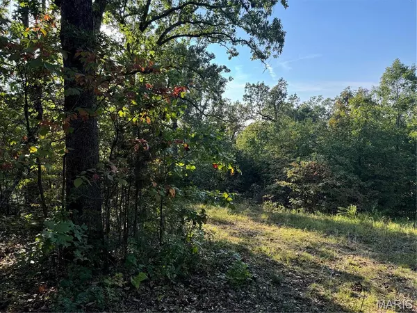 0 Lot 6b Lakeview DR, Perryville, MO 63775