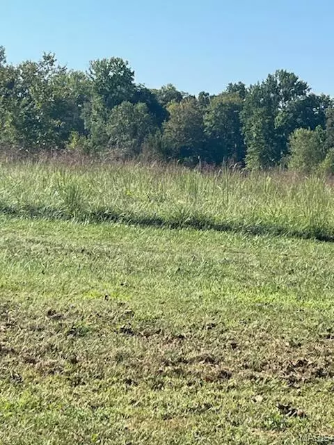 Cape Girardeau, MO 63701,7 Lot  Ridgefield DR