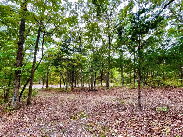 Leslie, MO 63056,0 Hwy. 185