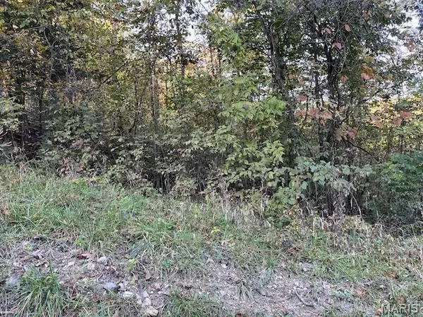 75 N Skyline DR, New Florence, MO 63363