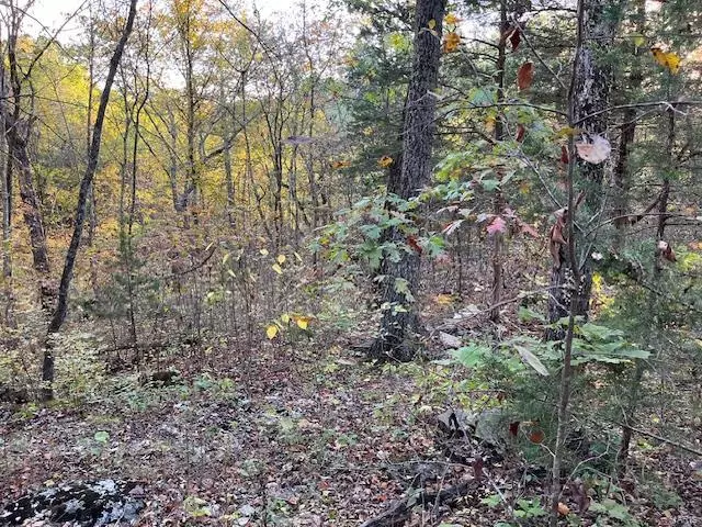 0 Lot 532 Oak DR, New Florence, MO 63363