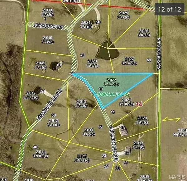 Troy, MO 63379,10 Gallant Fox Dr