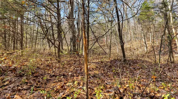 Other, MO 63361,0 Crooked Creek Rd
