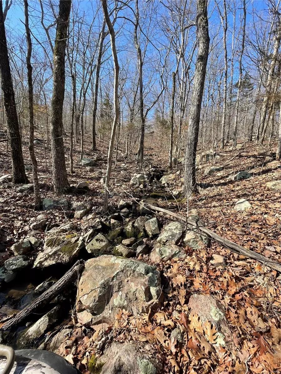 Ironton, MO 63650,700 Lori Ln