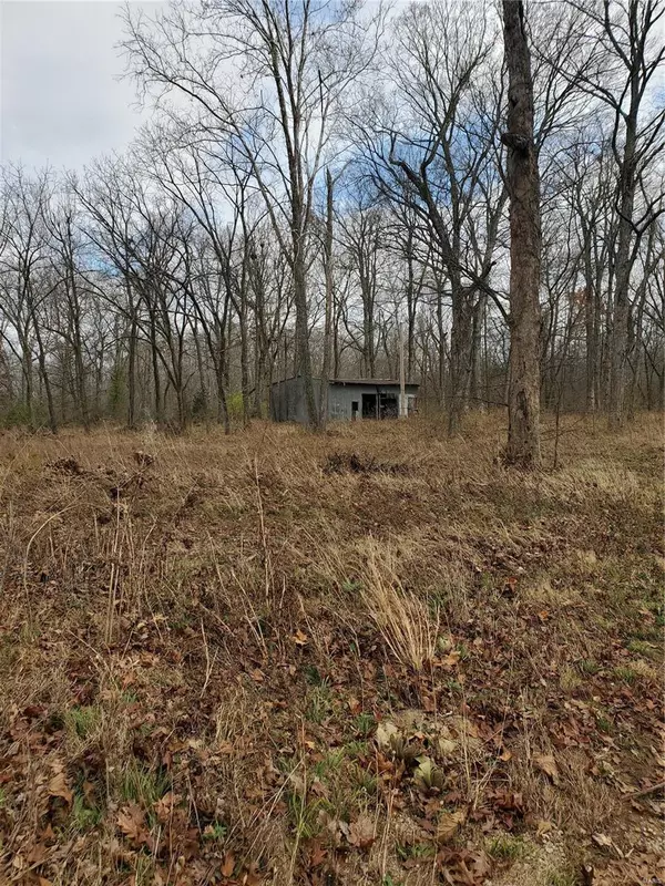 Park Hills, MO 63601,3388 West RD