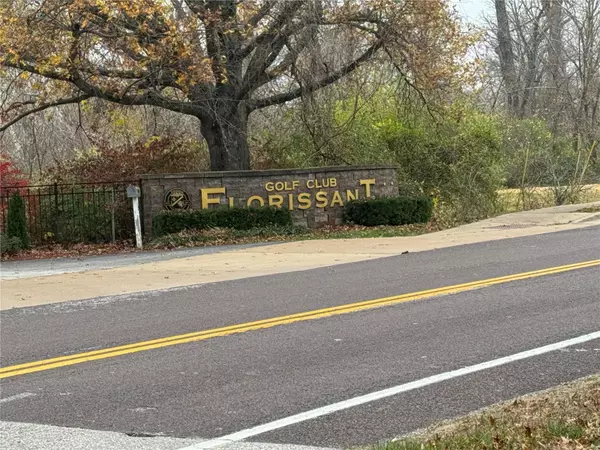 St Louis, MO 63033,13712 Old Halls Ferry RD