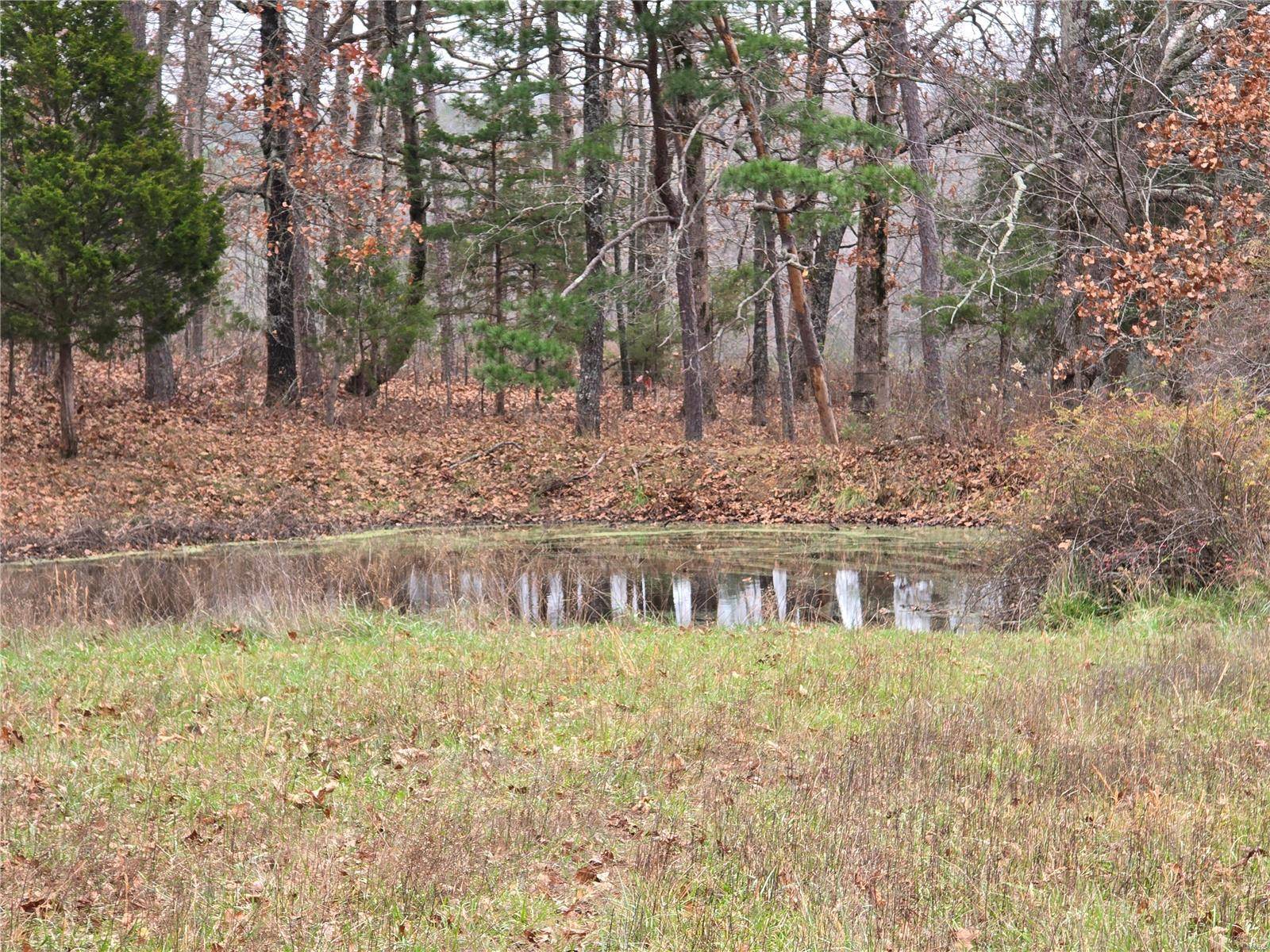 Raymondville, MO 65555,0 McColgin Road