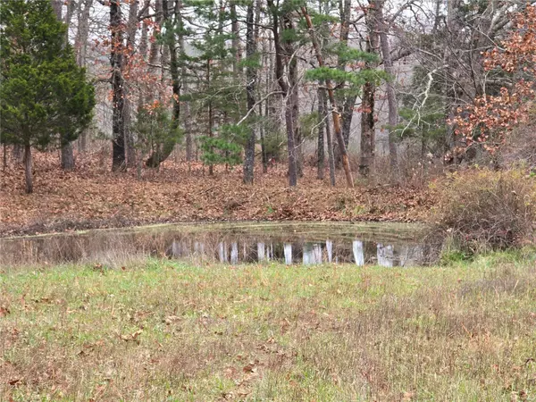 Raymondville, MO 65555,0 McColgin Road