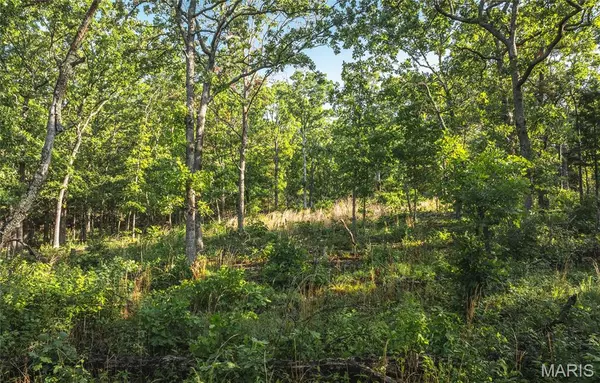 Ellington, MO 63638,0 Highway B 217