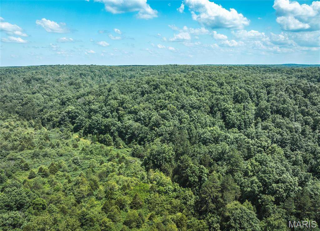 0 Highway B 19, Ellington, MO 63638