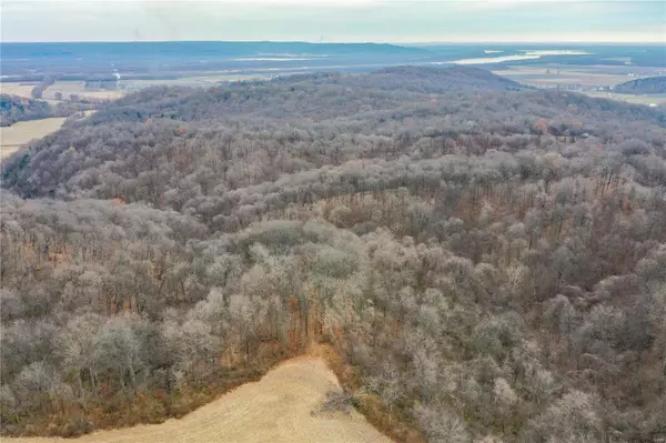 Batchtown, IL 62006,0 Tepen RD