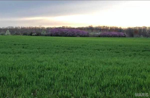 0 Kelley Ln. (50+/- Acres), Jonesburg, MO 63351