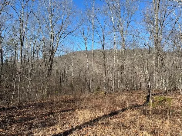 Annapolis, MO 63620,1 CR 204