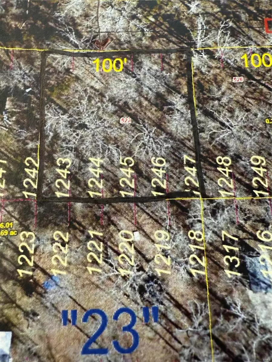 Bismarck, MO 63624,522 Elvins DR