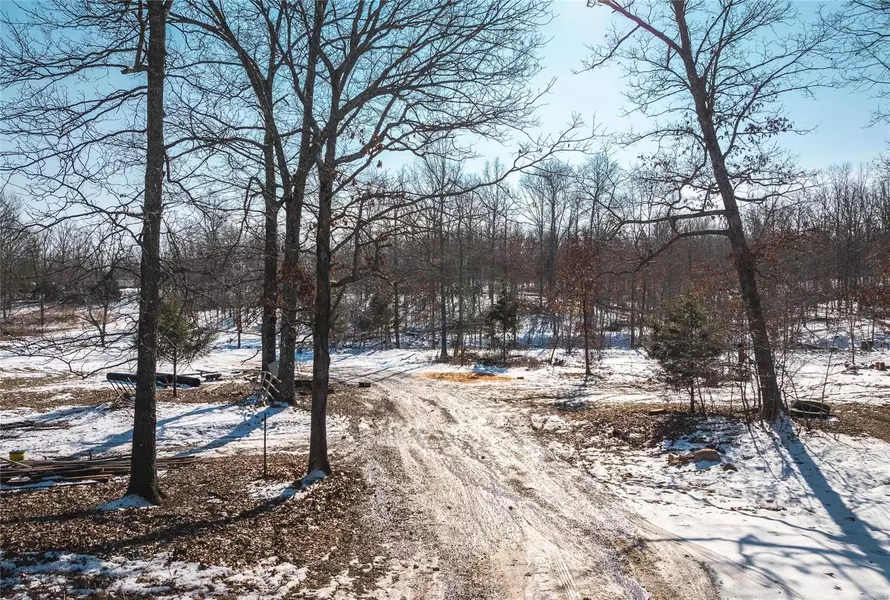 13589 Pritchard DR, Licking, MO 65542