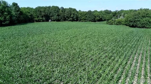 Hillsboro, IL 62049,0 Interurban CIR