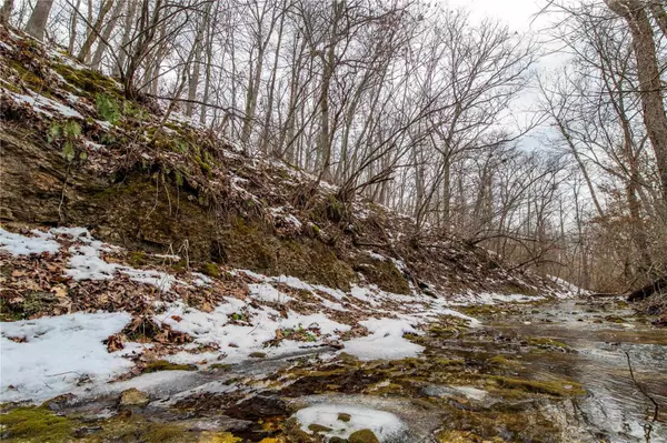 Macks Creek, MO 65786,0 Broads Branch RD